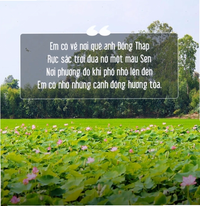 Làng hoa Sa Đéc rực rỡ sắc màu