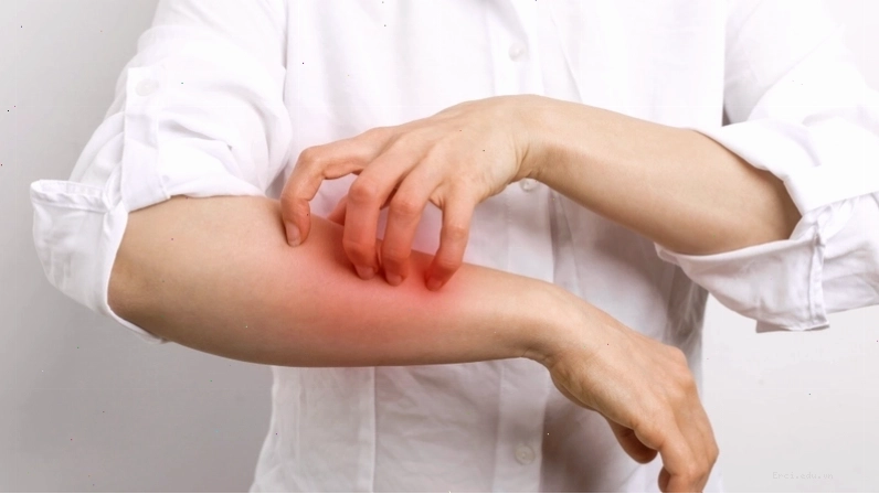 Liều lượng tiêu thụ cỏ ngọt an toàn