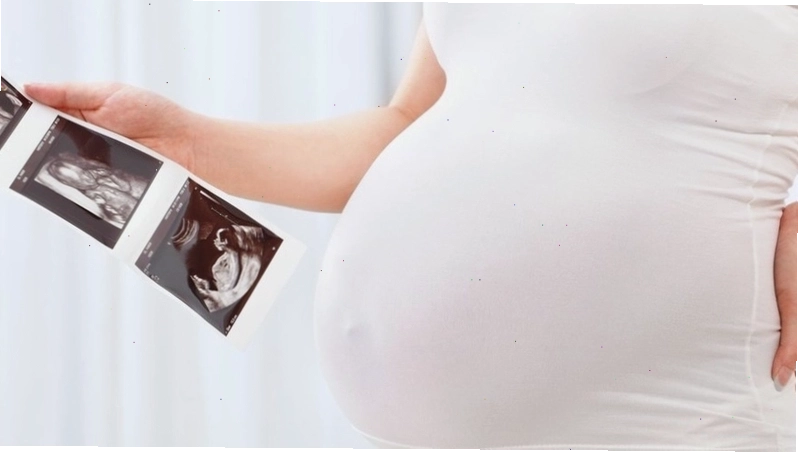 Lợi ích của việc ăn nấm mèo đối với sức khỏe bà bầu 3 tháng đầu