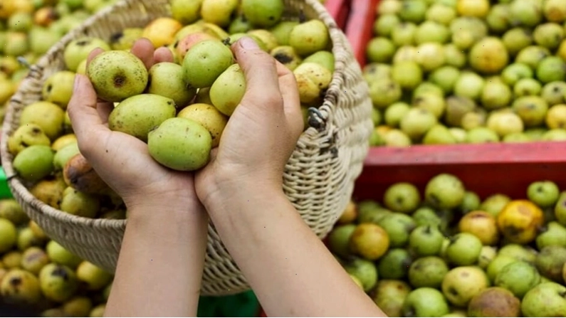 Lưu ý quan trọng khi sử dụng nước táo mèo để đảm bảo sức khỏe