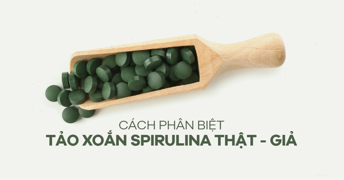 Màu sắc đặc trưng của tảo xoắn Spirulina thật