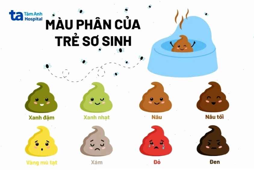 Màu sắc phân của trẻ bú sữa công thức thường là nâu hoặc xanh rêu