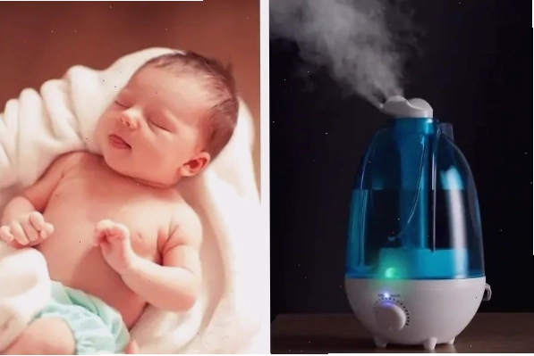 Máy tạo độ ẩm giúp không khí dễ chịu hơn