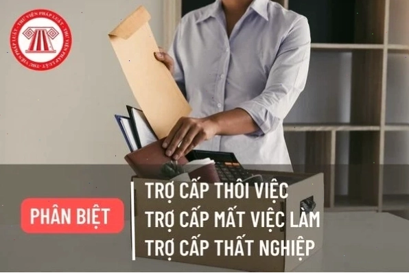 Minh họa bảng so sánh trợ cấp thôi việc và trợ cấp mất việc làm