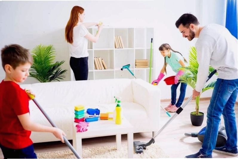 Mối nguy hại tiềm ẩn khi tiếp xúc với lông mèo