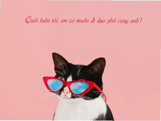 Một cặp đôi đang nắm tay đi dạo trên bãi biển