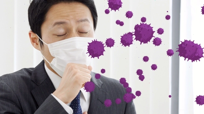 Một số vi khuẩn gây bệnh nguy hiểm như Salmonella, E.coli