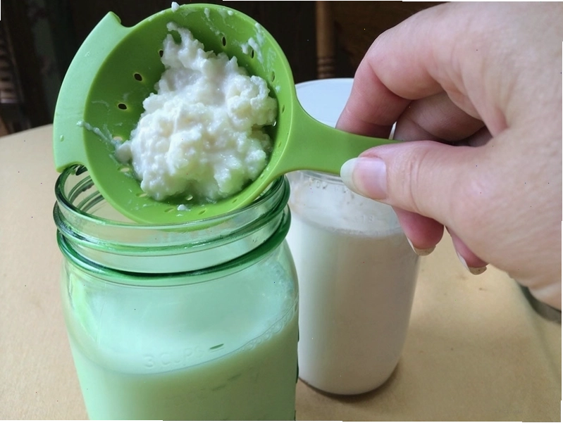Nấm kefir là gì? Tác dụng của nấm kefir đối với sức khỏe không phải ai cũng biết 4