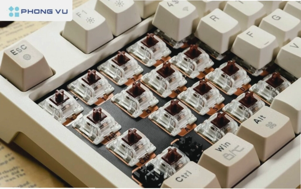 Nguyên lý hoạt động của bàn phím cơ và bàn phím giả cơ