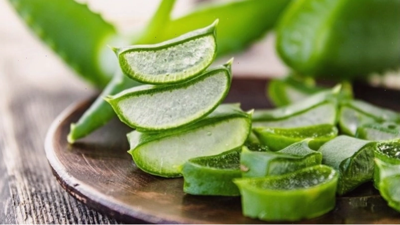 Nha đam có thể giúp làm dịu núm vú bị đau của bạn