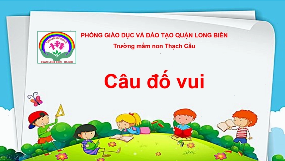 Nhiều bông hoa hồng với các màu sắc khác nhau