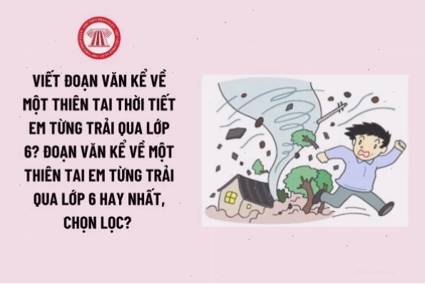 Nhiều loại thức ăn nhanh hấp dẫn được bày biện bắt mắt
