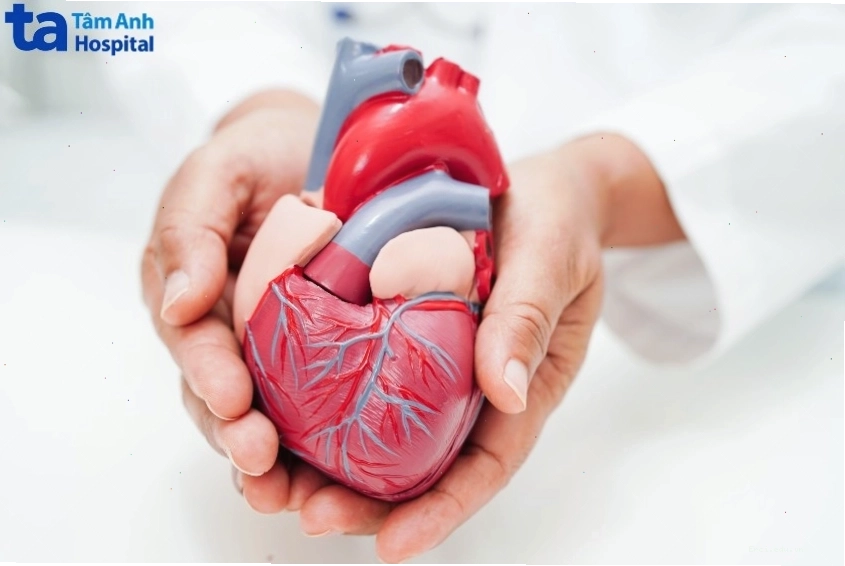 Nhịn ăn sáng ảnh hưởng đến sức khỏe tim mạch