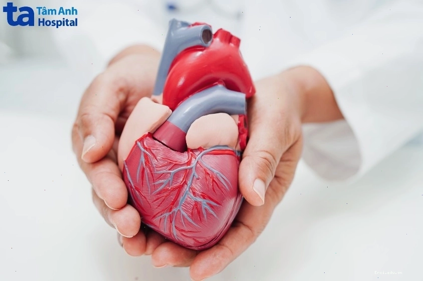 Nhịn ăn sáng ảnh hưởng đến sức khỏe tim mạch