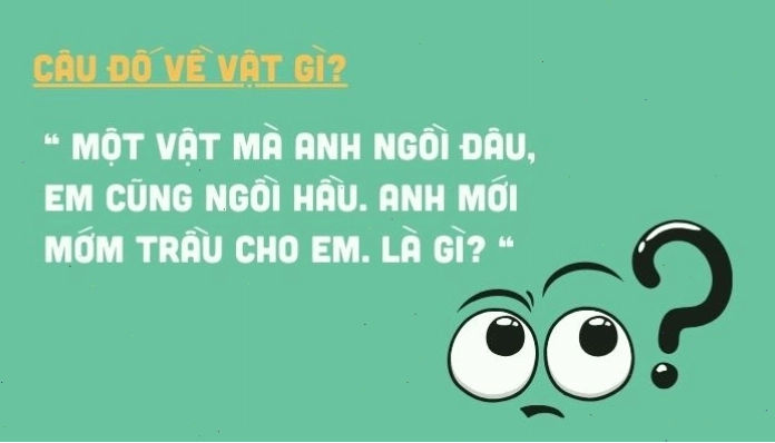 Nhóm bạn đang cùng nhau giải đố vui
