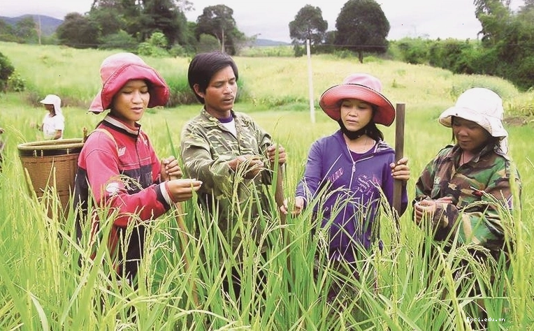 Nhóm phượt thủ tham gia hoạt động thiện nguyện