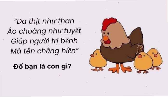 Những câu đố vui trí tuệ siêu hack não