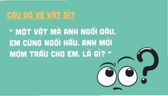 Những câu hỏi trí tuệ
