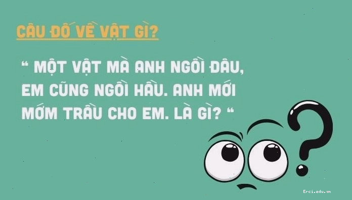 Những câu hỏi trí tuệ mang tính giải trí cao