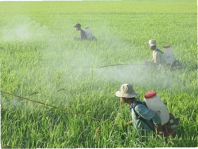 Ô nhiễm môi trường đất và hiểm họa đối với con người