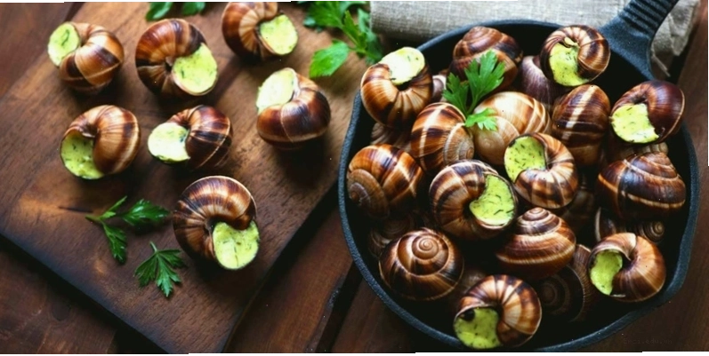 Ốc sên gặm lá cây, gây hại cho mùa màng