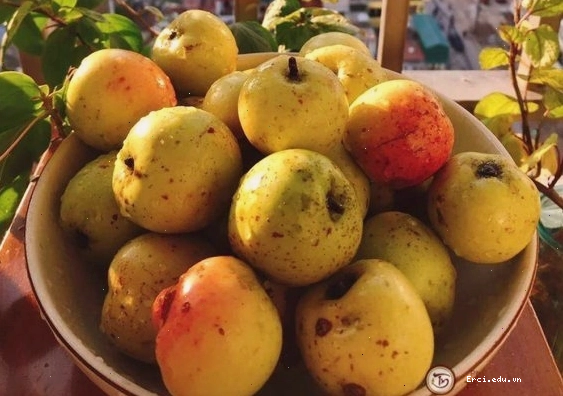 Pha trà táo mèo khô với nước ấm