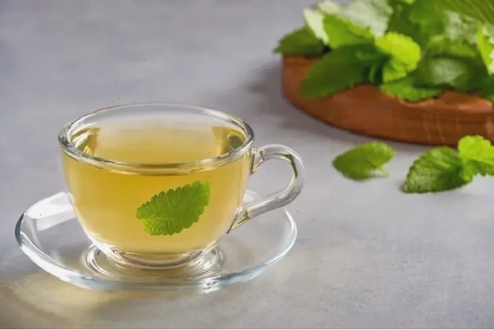 Phân biệt các loại rau húng