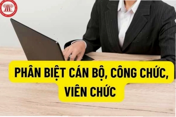 Phân biệt cán bộ, công chức và viên chức? Ví dụ về cán bộ, công chức, viên chức?