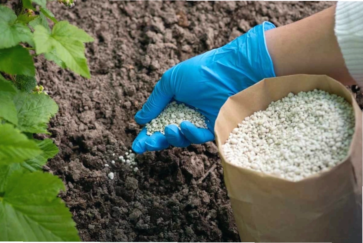 Phân bón hóa học có thể gây ô nhiễm nguồn nước sinh hoạt
