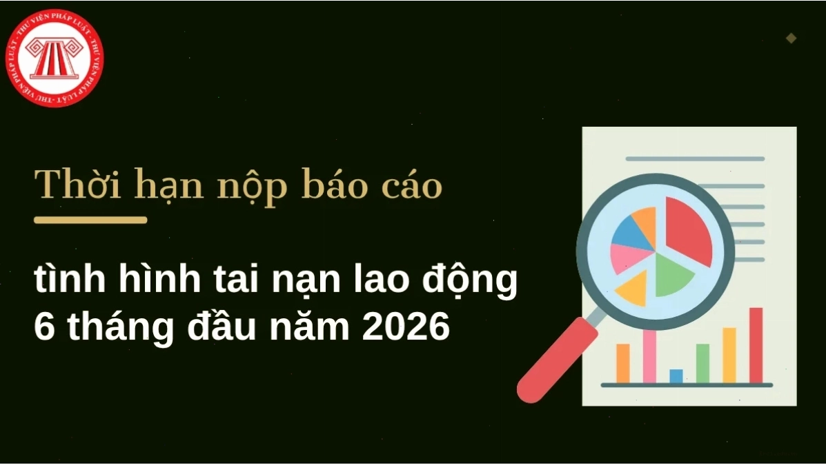 Phân tích tài sản giúp ra quyết định kinh doanh sáng suốt