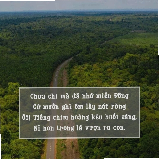 Phong cảnh sông Đồng Nai thơ mộng