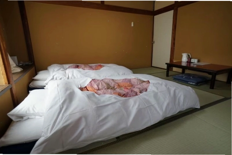 Phòng khách tại một ryokan sang trọng