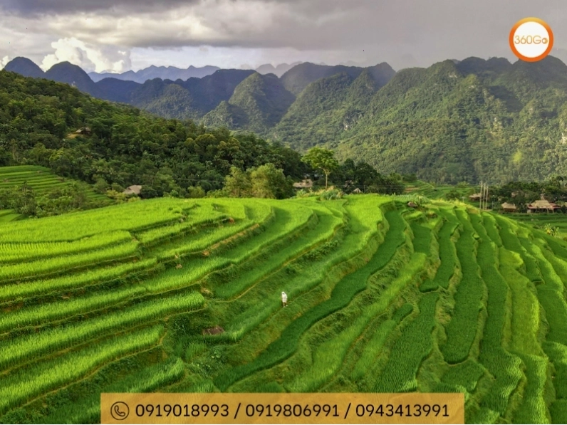 Pù Luông Thanh Hóa điểm đến du lịch xanh
