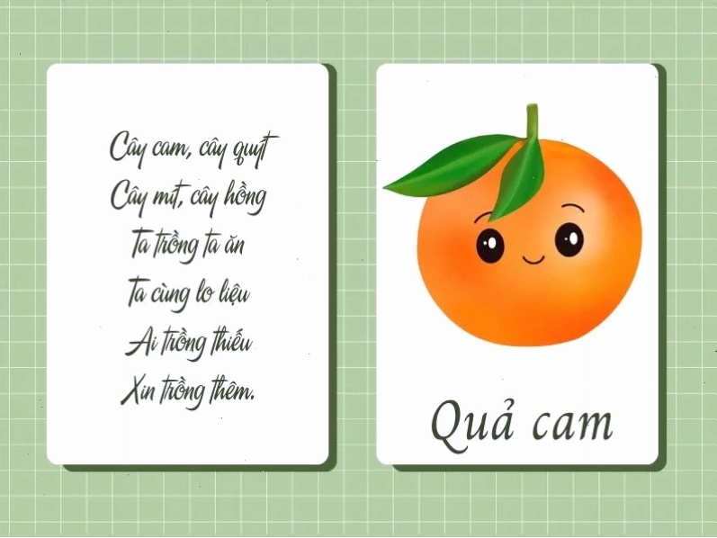 Quả bầu và quả bí trong bài đồng dao