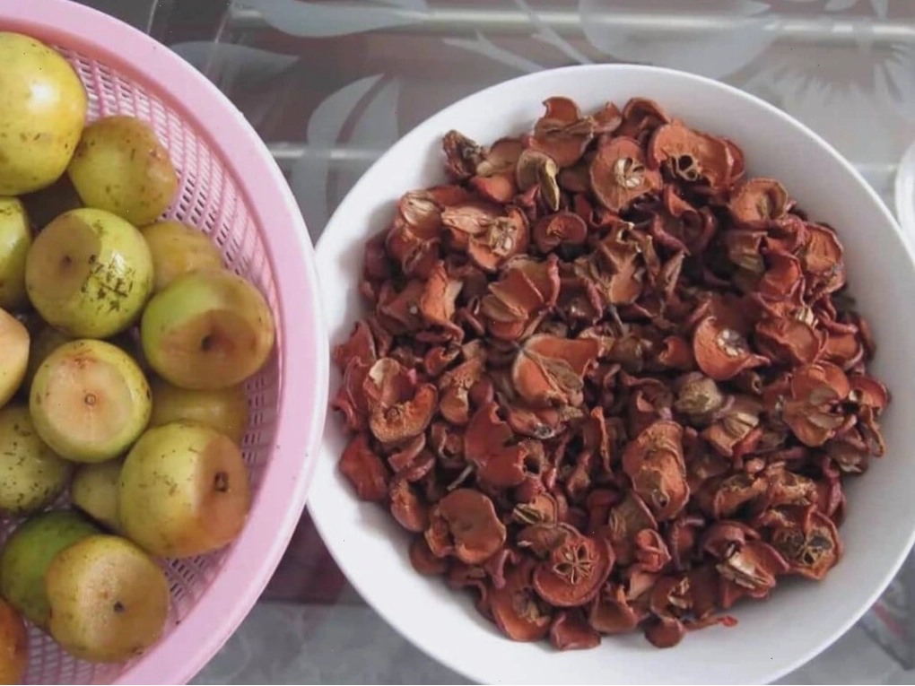 Quả táo mèo khô được phơi sấy giữ nguyên dược tính