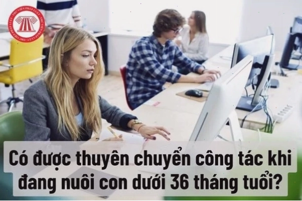 Quy định về chế độ thai sản cho cán bộ công chức