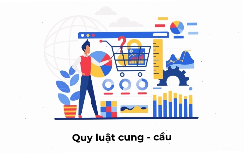 Quy luật Cung cầu thể hiện hai mặt của hoạt động kinh tế
