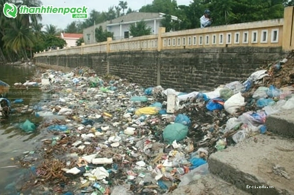 Rác ni lông gây hại cho động vật biển