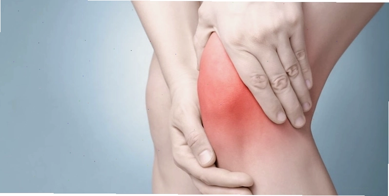 Rau câu có khả năng giảm nguy cơ viêm nhiễm cho cơ thể