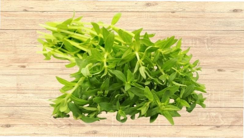 Rau ngổ chứa nhiều dưỡng chất tốt cho sức khỏe