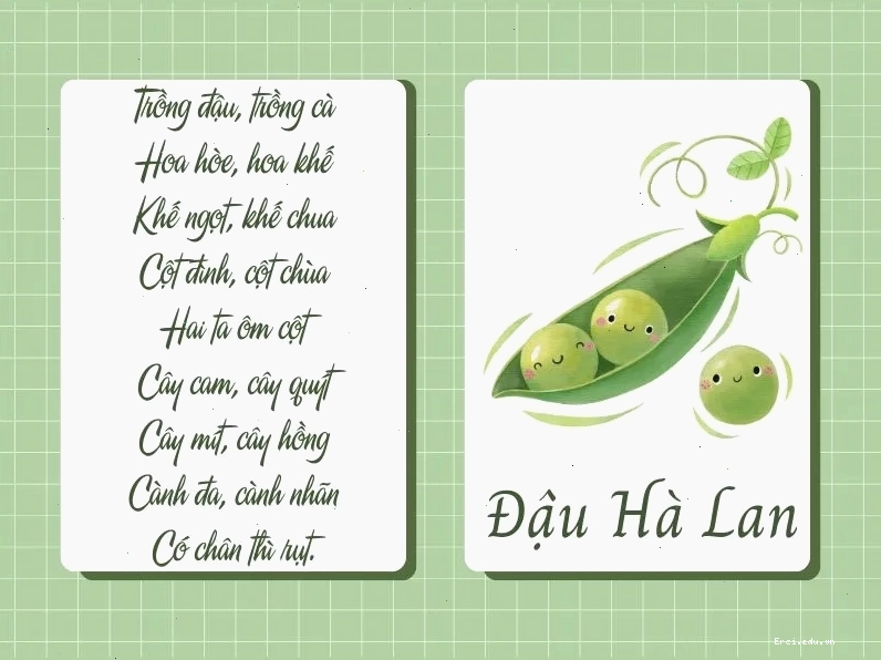 Rổ trái cây đầy màu sắc