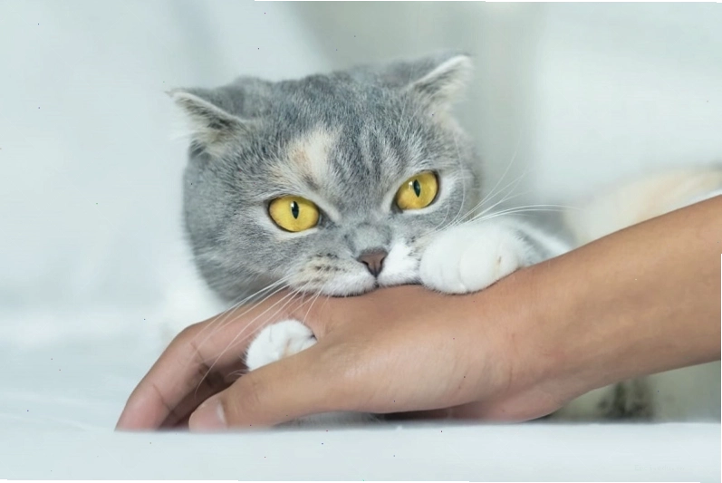 Rửa sạch vết thương dưới vòi nước chảy là bước đầu tiên quan trọng