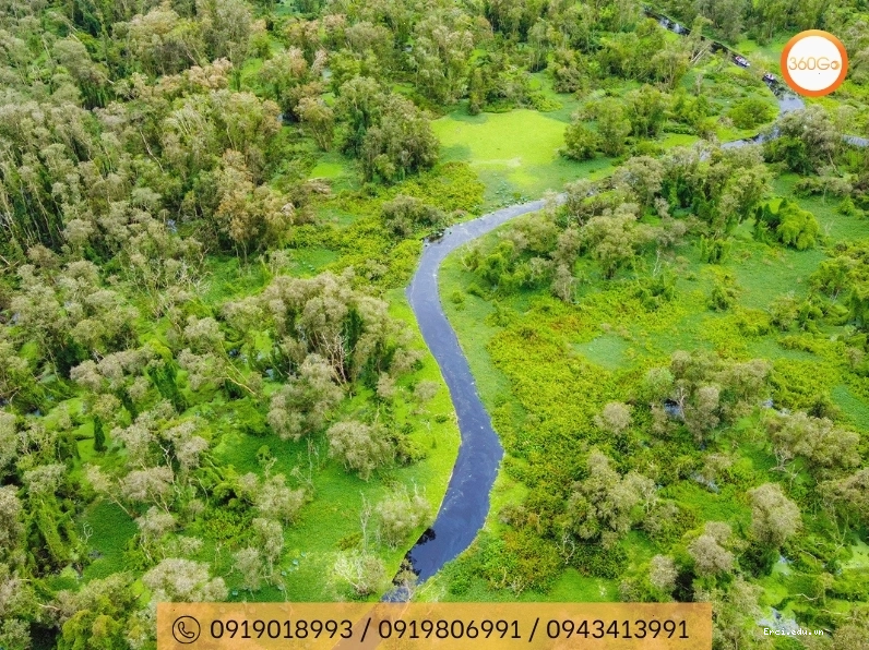 Rừng tràm Trà Sư An Giang