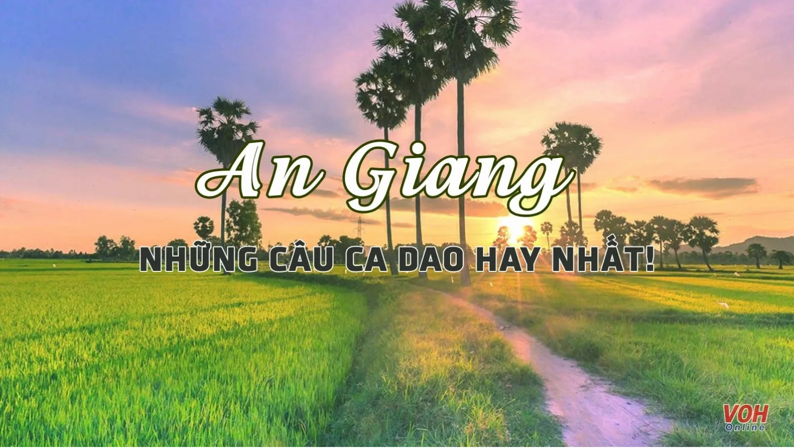 Ruộng lúa xanh mướt