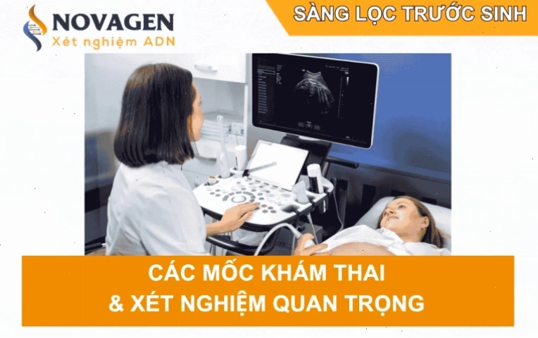 Sàng lọc trước sinh và vai trò của các xét nghiệm