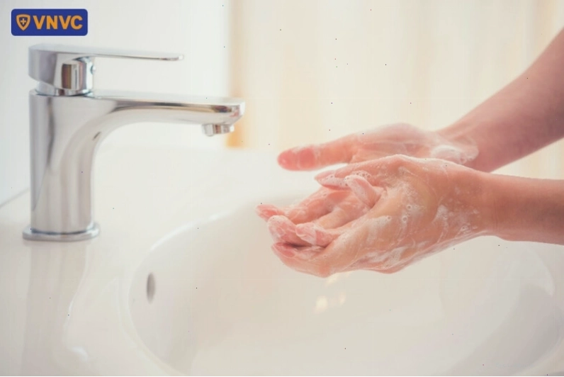 Sát trùng vết thương mèo cắn bằng dung dịch sát khuẩn