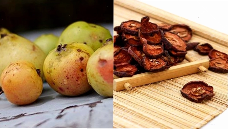 Siro táo mèo làm từ quả tươi và đường phèn