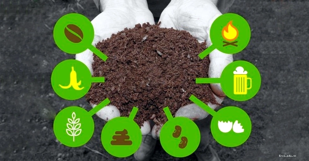 Sử dụng phân bón hóa học gây ô nhiễm môi trường nước