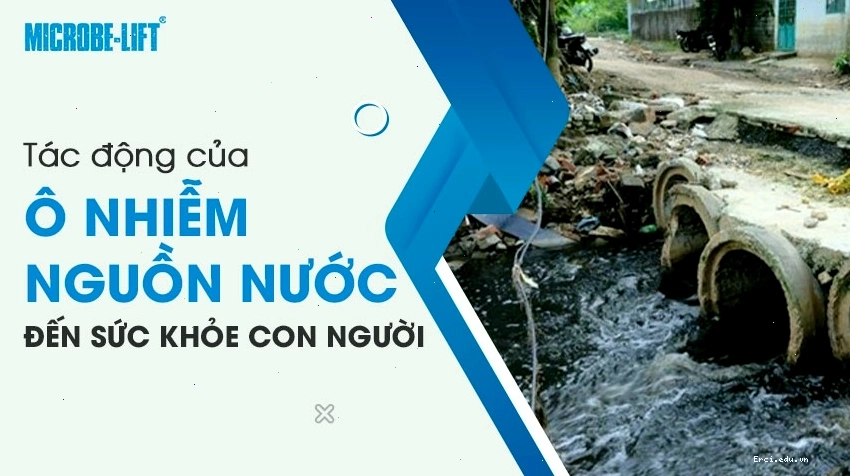Tác động của ô nhiễm nguồn nước đến sức khỏe con người, gây bệnh tật