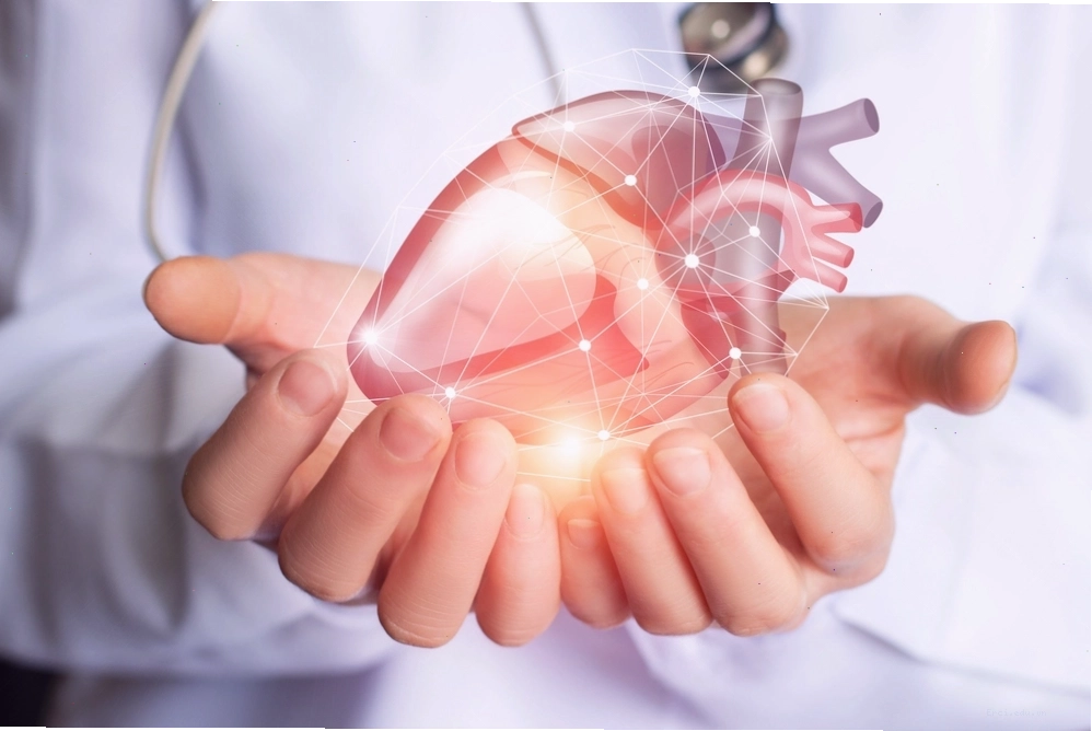 Tác dụng của đậu đen trong việc ngăn ngừa bệnh tim mạch